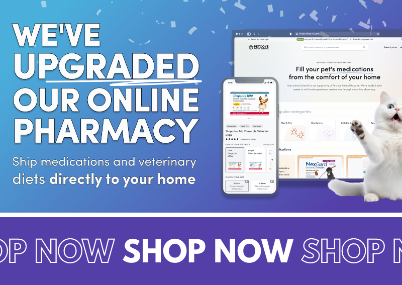 Carousel Slide 3: Royston online veterinary pharmacy